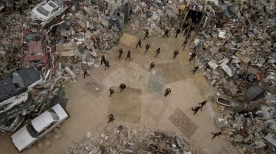 twd0710-1173.jpg