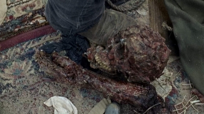 twd0710-1860.jpg