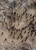 twd0710-1216.jpg
