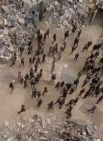 twd0710-1217.jpg