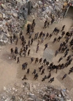 twd0710-1219.jpg
