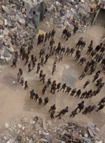twd0710-1222.jpg