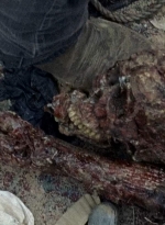 twd0710-1860.jpg