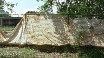 twd0712-0590.jpg
