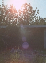 twd0712-0705.jpg