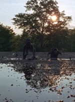 twd0712-0784.jpg