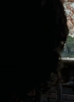 twd0712-1986.jpg