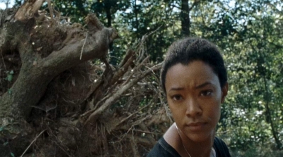 twd0714-0132.jpg