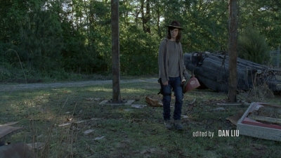 twd0801-0462.jpg