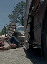 twd0803-1952.jpg