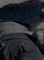 twd0803-1983.jpg