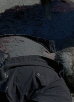 twd0803-1985.jpg