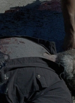 twd0803-1986.jpg