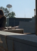 twd0803-2033.jpg