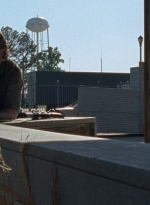 twd0803-2035.jpg