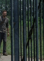 twd0803-2098.jpg