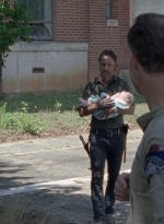 twd0803-2188.jpg