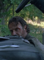 twd0803-2317.jpg