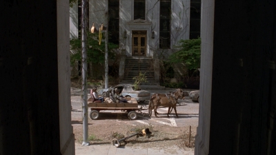 twd0901-1125.jpg