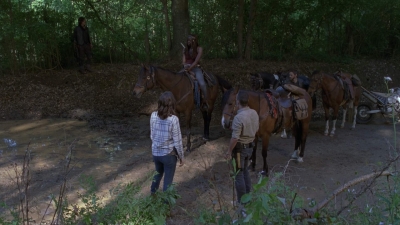 twd0901-1379.jpg