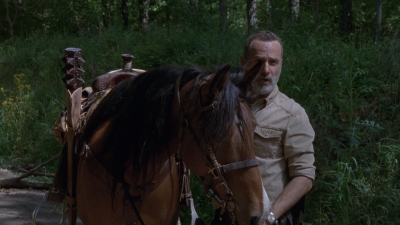 twd0901-1393.jpg