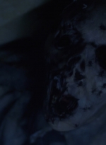 twd0901-0589.jpg