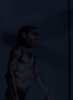 twd0901-0612.jpg