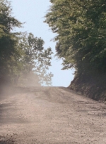 twd0901-1163.jpg