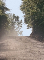 twd0901-1164.jpg