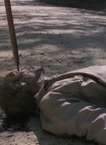 twd0901-1173.jpg