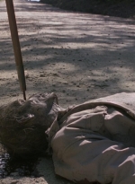 twd0901-1174.jpg