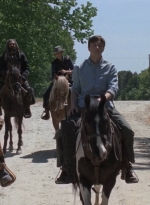 twd0901-1198.jpg