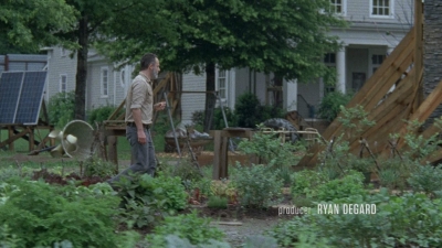 twd0903-0195.jpg