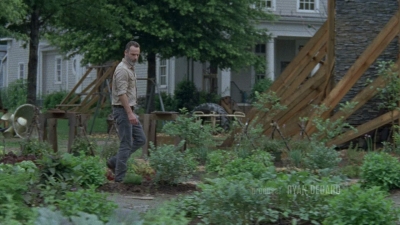 twd0903-0196.jpg