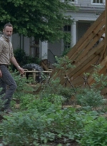 twd0903-0197.jpg