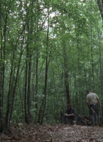 twd0903-1098.jpg