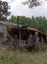 twd0903-1372.jpg