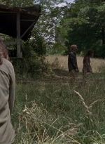 twd0903-1382.jpg