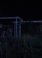 twd0903-2352.jpg