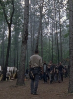 twd0903-2579.jpg