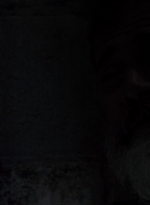 twd0904-1232.jpg