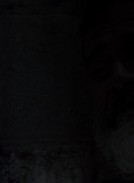 twd0904-1233.jpg
