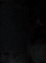 twd0904-1236.jpg