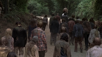 twd905_1161.jpg