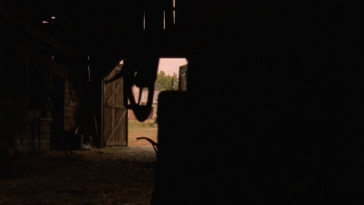 twd905_1178.jpg