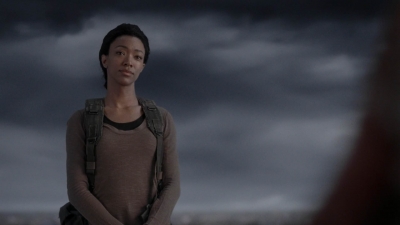 twd905_1459.jpg