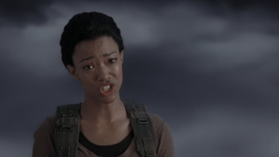 twd905_1507.jpg