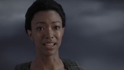 twd905_1569.jpg