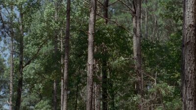 twd905_1655.jpg