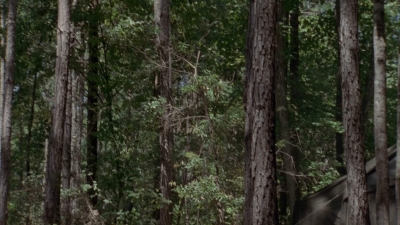 twd905_1656.jpg